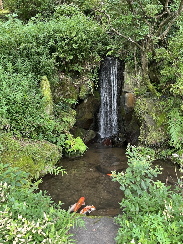 富士屋ホテル　庭園