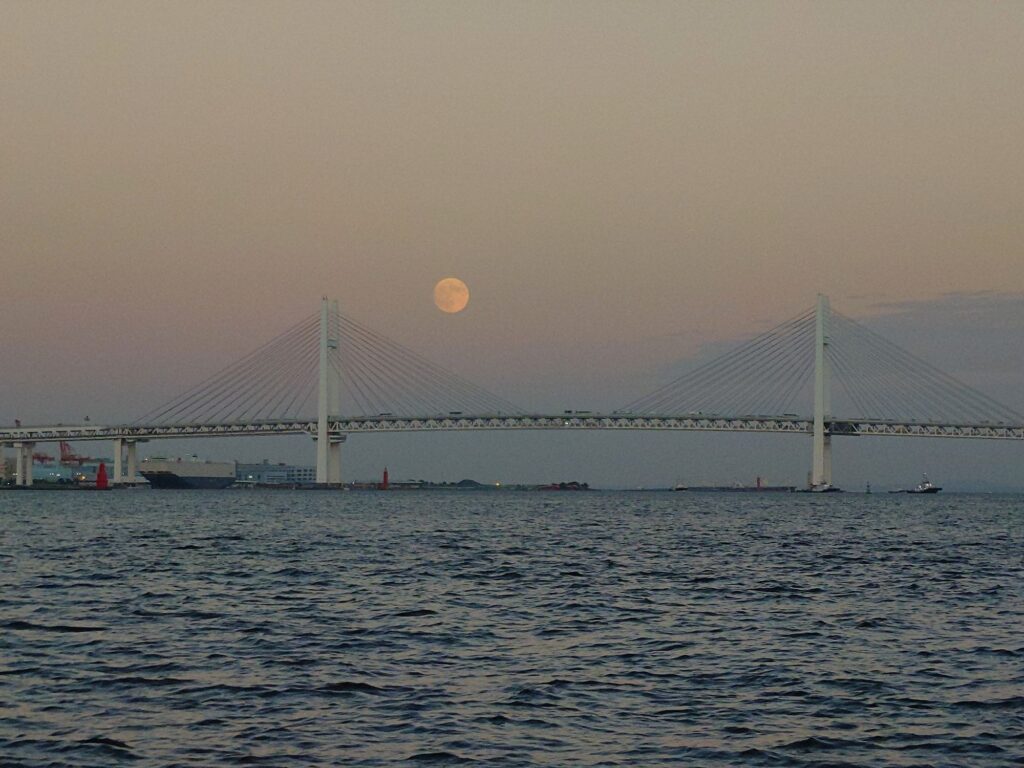 Full moon at Rinko Park