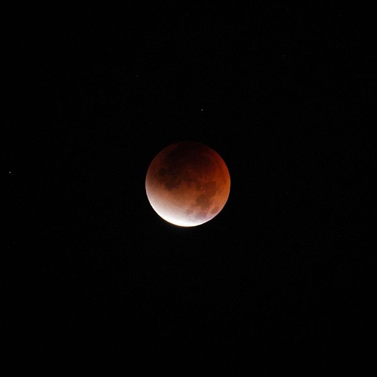 Lunar eclipse from Rinko Park